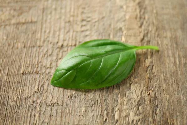 Fresh organic basil — Stock Photo, Image