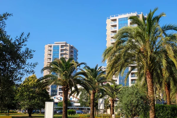 Vista de hermosas palmeras y edificios en un día soleado — Foto de Stock