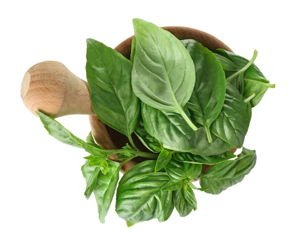 Fresh organic basil leaves — Stock Photo, Image