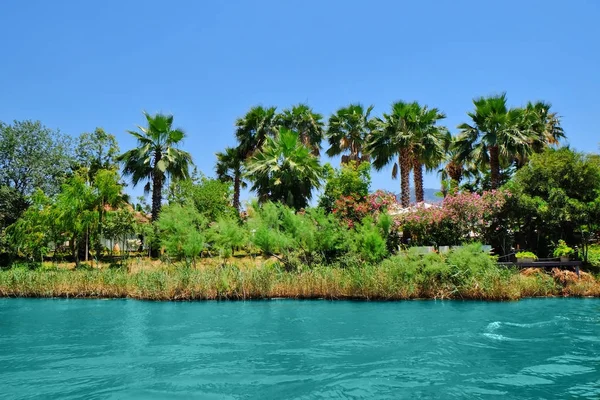 Picturesque view of river on sunny summer day — Stock Photo, Image