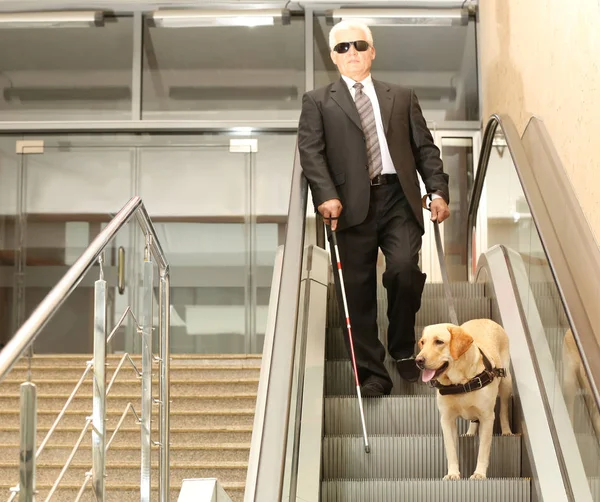 Hombre ciego con perro guía en escalera mecánica — Foto de Stock