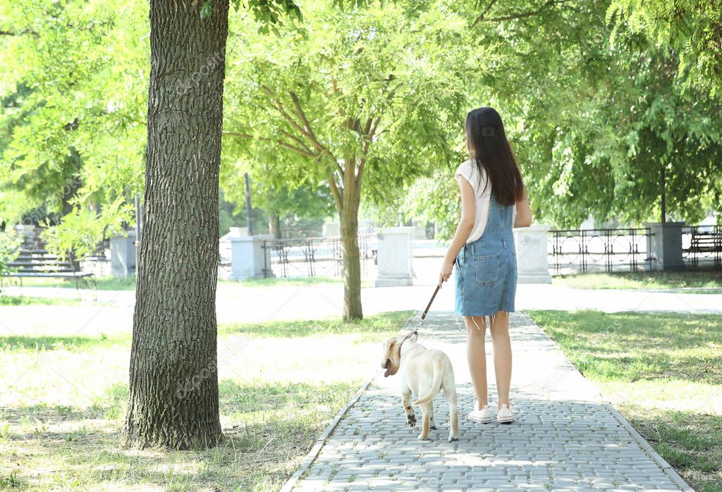 Young woman walking yellow retriever in park