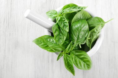 Organik taze fesleğen yaprağı 