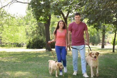 Genç çift sarı Retriever Park ile yürüme