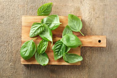 Organik taze fesleğen yaprağı 