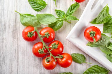 Çeri domates ve fesleğen 