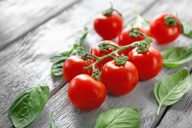 Çeri domates ve fesleğen 