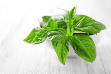 Organik taze fesleğen yaprağı 