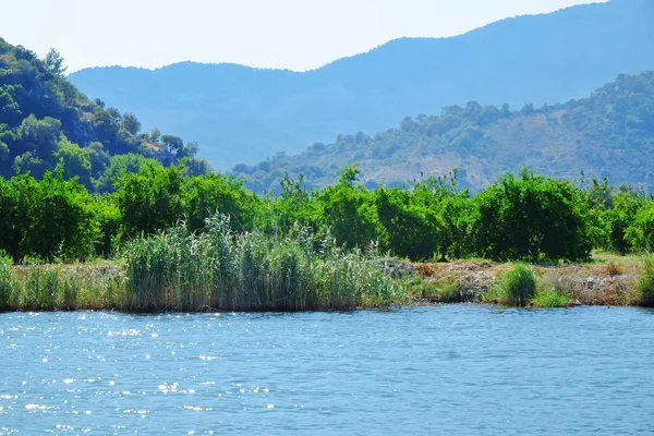 Nehir ve dağ harika manzarasını yaz gününde