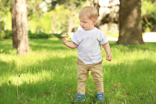 Bayi laki-laki lucu berjalan di taman hijau pada hari yang cerah — Stok Foto