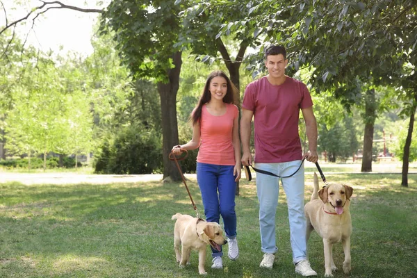 Genç çift sarı Retriever Park ile yürüme