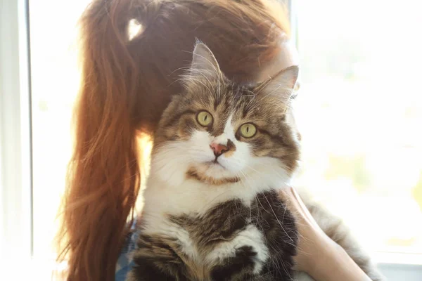 Vrouw bedrijf pluizig kat — Stockfoto