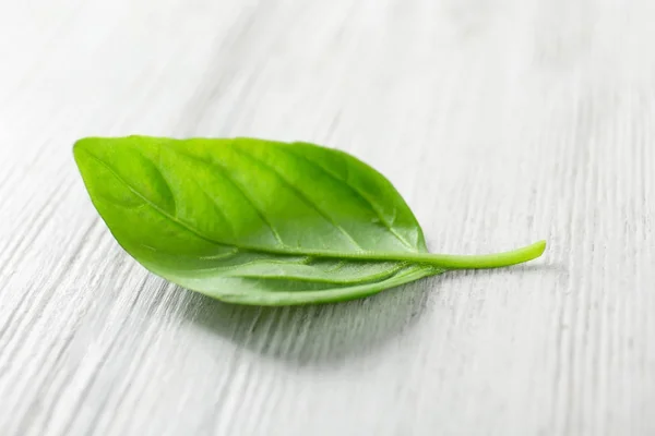 Fresh organic basil — Stock Photo, Image