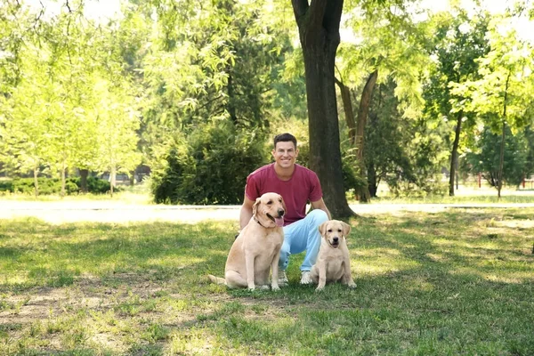 Junger Mann läuft mit gelben Retrievern in Park — Stockfoto