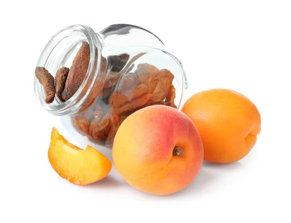 Torkade och färska aprikoser — Stockfoto