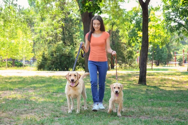 Wanita muda berjalan dengan anjing pelacak kuning di taman — Stok Foto