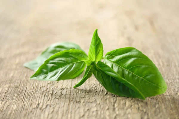 Organik taze fesleğen yaprağı 