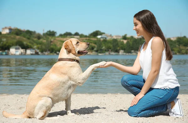 Ung kvinna vilar med gula retriever nära floden — Stockfoto