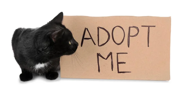 Black cat and text ADOPT ME — Stock Photo, Image