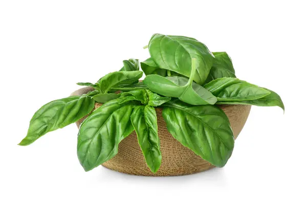 Fresh organic basil leaves — Stock Photo, Image