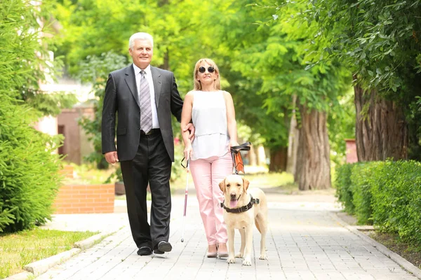 Uomo e donna cieca con cane guida in città — Foto Stock