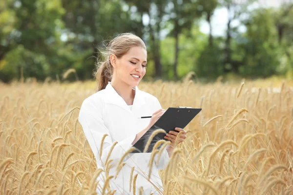 Junge Agronomin mit Klemmbrett im Weizenfeld — Stockfoto