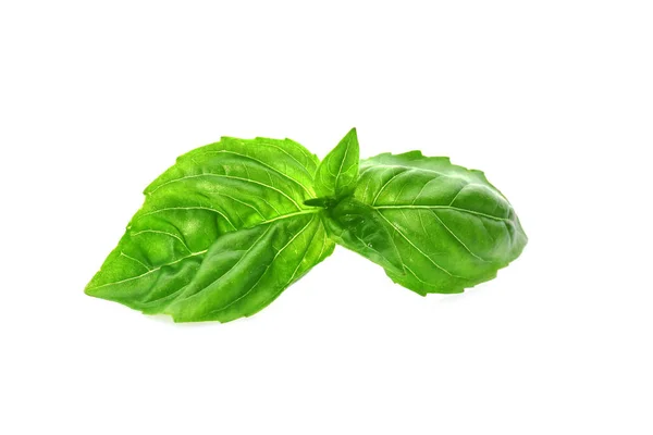 Green fresh organic basil, isolated on white — Stock Photo, Image