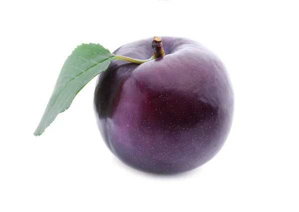 Plum matang segar — Stok Foto