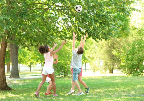 Lindos niños jugando con la pelota en el parque —  Fotos de Stock