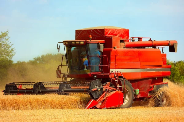 Combina mietitrebbie che lavorano in campo — Foto Stock