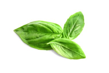 Beyaz izole yeşil taze organik fesleğen