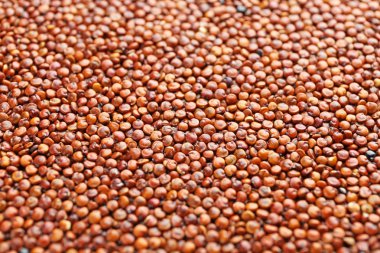 Kırmızı quinoa tahıl, portre