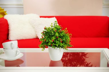 Dekoratif bitki ve modern oda tablo bardak