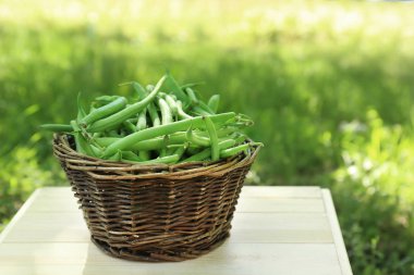 Hasır sepet ham taze organik yeşil fasulye ile 