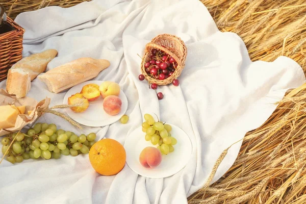 피크닉 야외에 대 한 격자 무늬에 맛 있는 음식 — 스톡 사진