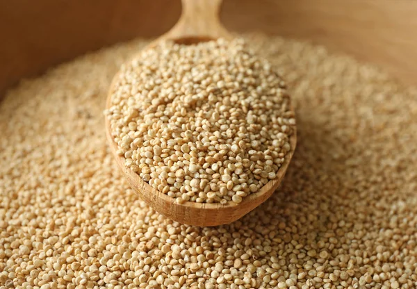 Spoon with quinoa on seeds, closeup — Stock Photo, Image