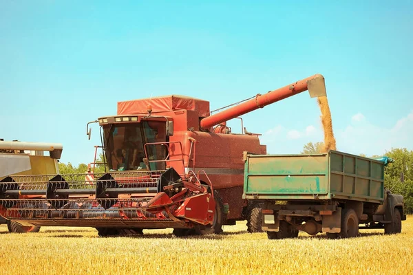 Combine colheitadeira derramando grãos no campo — Fotografia de Stock