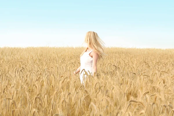 Mladá žena v pšeničném poli — Stock fotografie