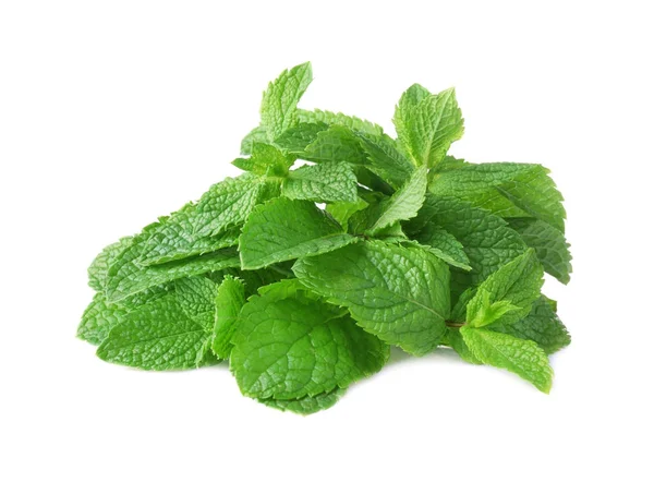 Fresh mint leaves — Stock Photo, Image