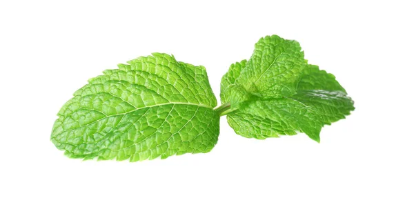 Fresh mint leaves — Stock Photo, Image