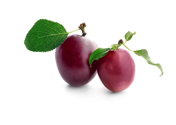 Ripe fresh plums on white background — Stock Photo, Image