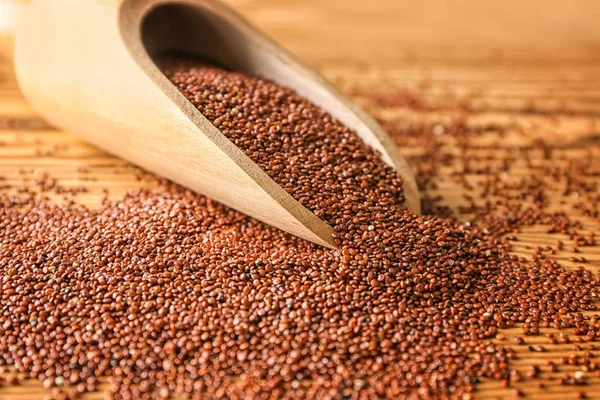 Rote Quinoa und Schaufel — Stockfoto