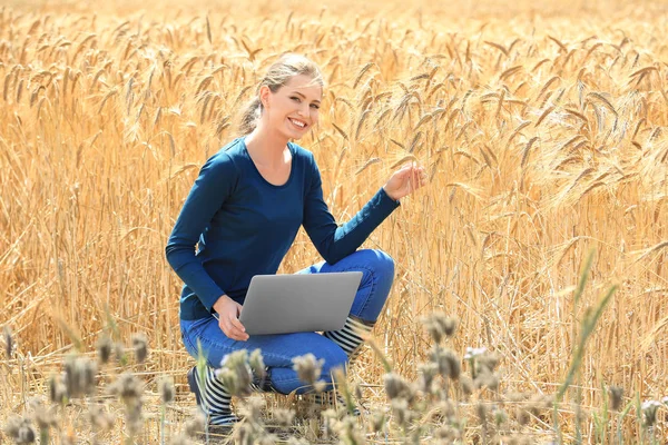 Agronom mit Laptop im Weizenfeld — Stockfoto