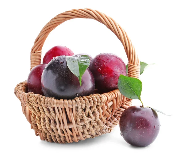 Fresh ripe plums — Stock Photo, Image