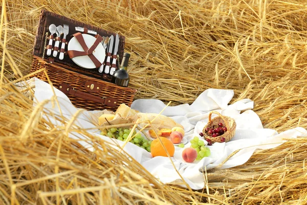 Wicker basket and fruits on plaid for picnic outdoors — Stock Photo, Image