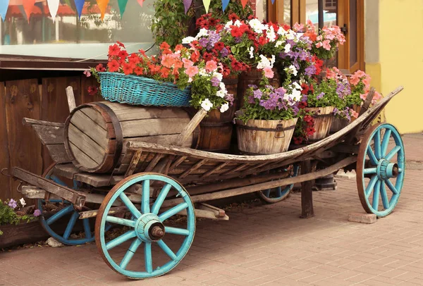 Hermoso macizo de flores hecho de carro — Foto de Stock