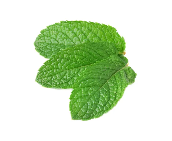 Fresh mint leaves on white background — Stock Photo, Image