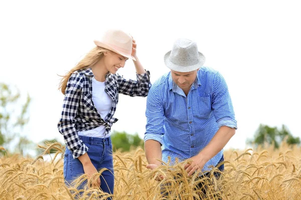 Zwei Bauern stehen im Weizenfeld — Stockfoto