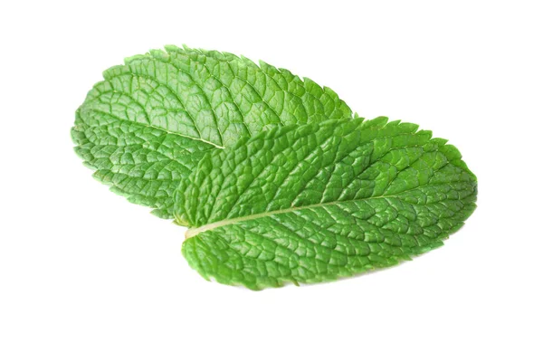 Foglie di menta fresca su sfondo bianco — Foto Stock