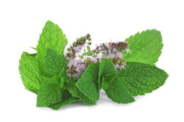 Çiçekler beyaz arka plan üzerinde ile taze nane